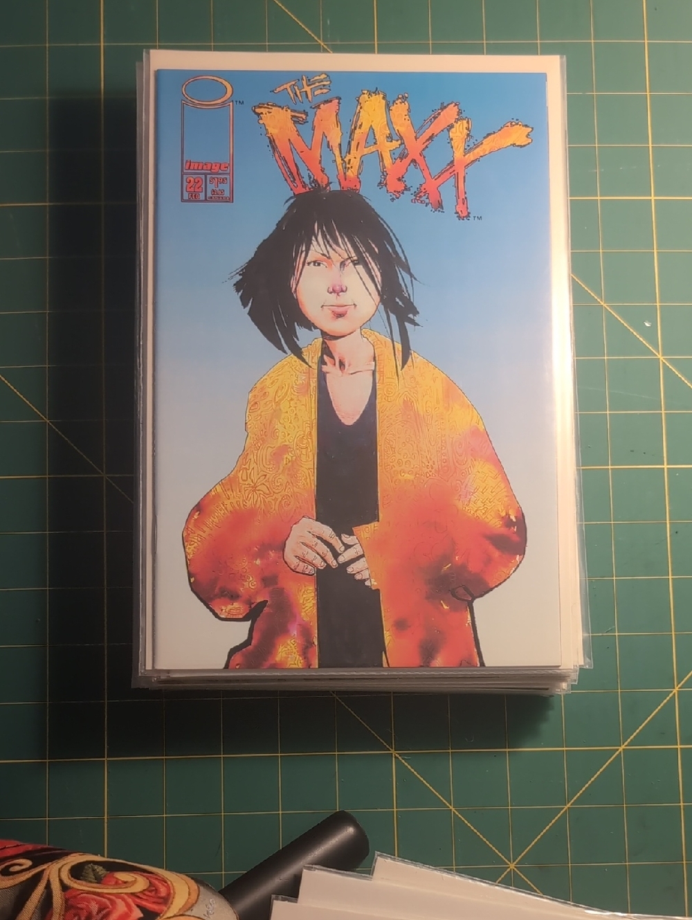 The maxx issue 22